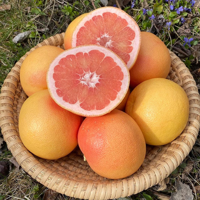 Produktfoto zu Grapefruit