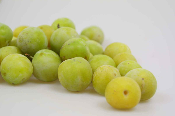 Produktfoto zu Reineclauden