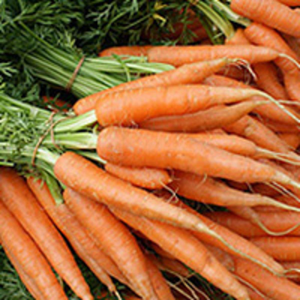 Produktfoto zu Bundmöhren