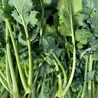 Produktfoto zu Cime di Rapa (Stängelkohl)
