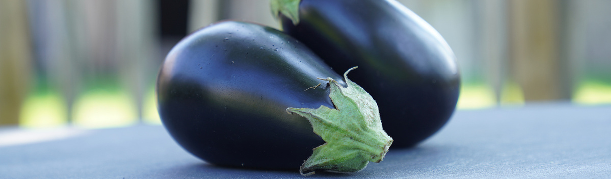 KI generiert: Das Bild zeigt zwei Auberginen, die auf einer ebenen Fläche liegen. Der Hintergrund ist unscharf, was den Fokus auf das Gemüse richtet.