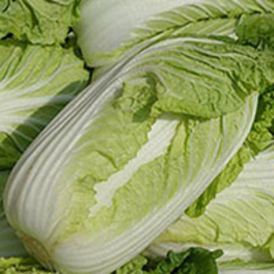 Produktfoto zu Chinakohl,  kg Ware