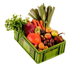 Produktfoto zu Obst-Gemüsekiste
