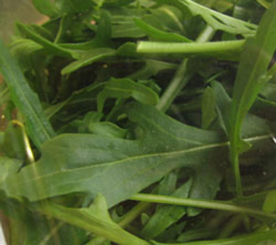 Produktfoto zu Rucola Schale 125 g