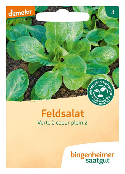 Produktfoto zu Samen: Feldsalat