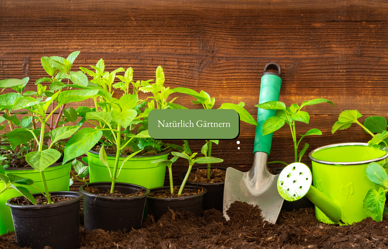 KI generiert: Junge Pflanzen, Gießkanne, Schaufel vor Holz. Text: "Natürlich Gärtnern".