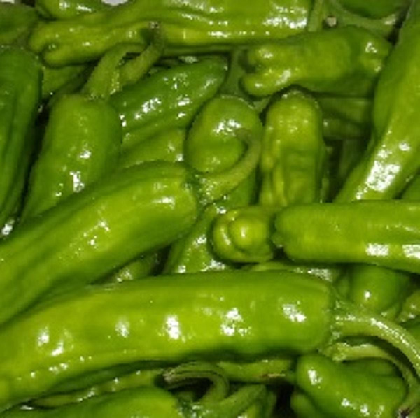 Produktfoto zu Bratpaprika Pimiento de Padron