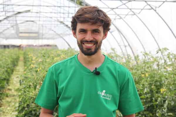 KI generiert: Ein Mann in einem Gewächshaus, trägt ein grünes T-Shirt mit "Ökokiste Kirchdorf" Schriftzug.