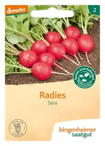 Produktfoto zu Samen: Radieserl 'Sora'