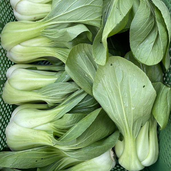 Produktfoto zu Pak Choi, kg