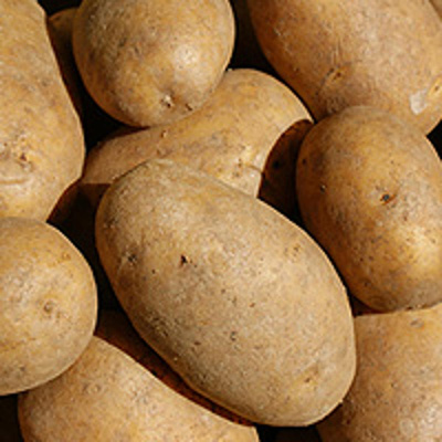 Produktfoto zu Kartoffeln 'Anouschka' (festkochend)