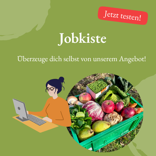 KI generiert: Eine Person arbeitet am Laptop, daneben frisches Gemüse. Text: "Jobkiste. Überzeuge dich selbst von unserem Angebot!"