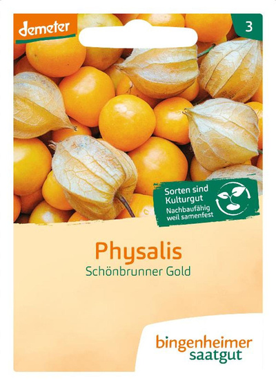 Produktfoto zu Samen: Physalis 'Schönbrunner Gold'