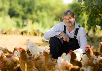 KI generiert: Ein Mann sitzt lächelnd inmitten einer Gruppe von Hühnern im Freien.