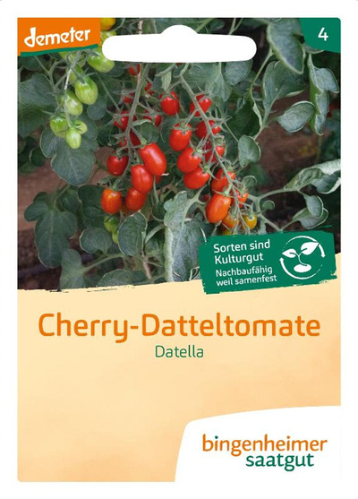 Produktfoto zu Samen: Tomate 'Datella'