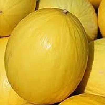 Produktfoto zu Honigmelone Canari, kg