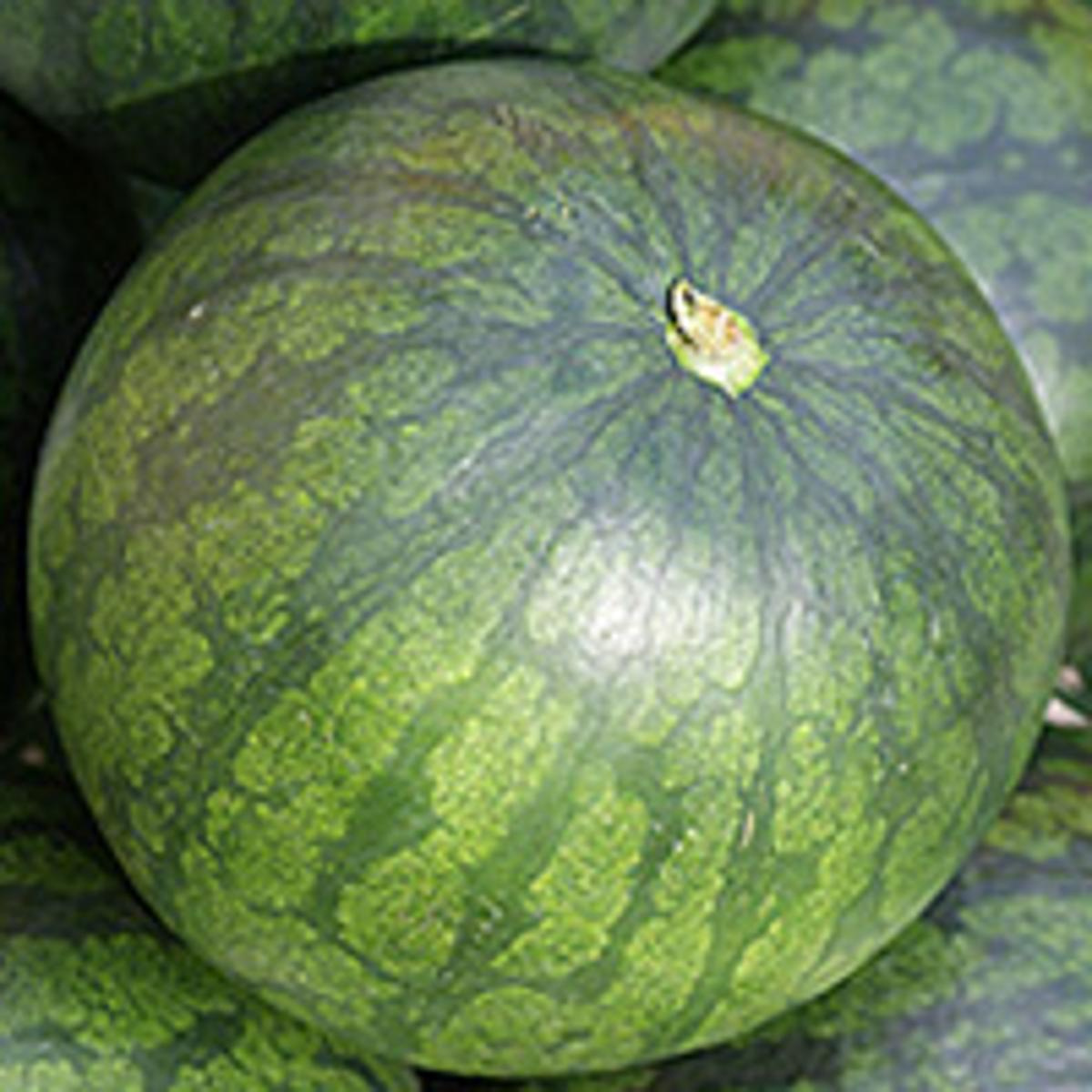 Miniwassermelone