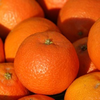 Produktfoto zu Clementinen