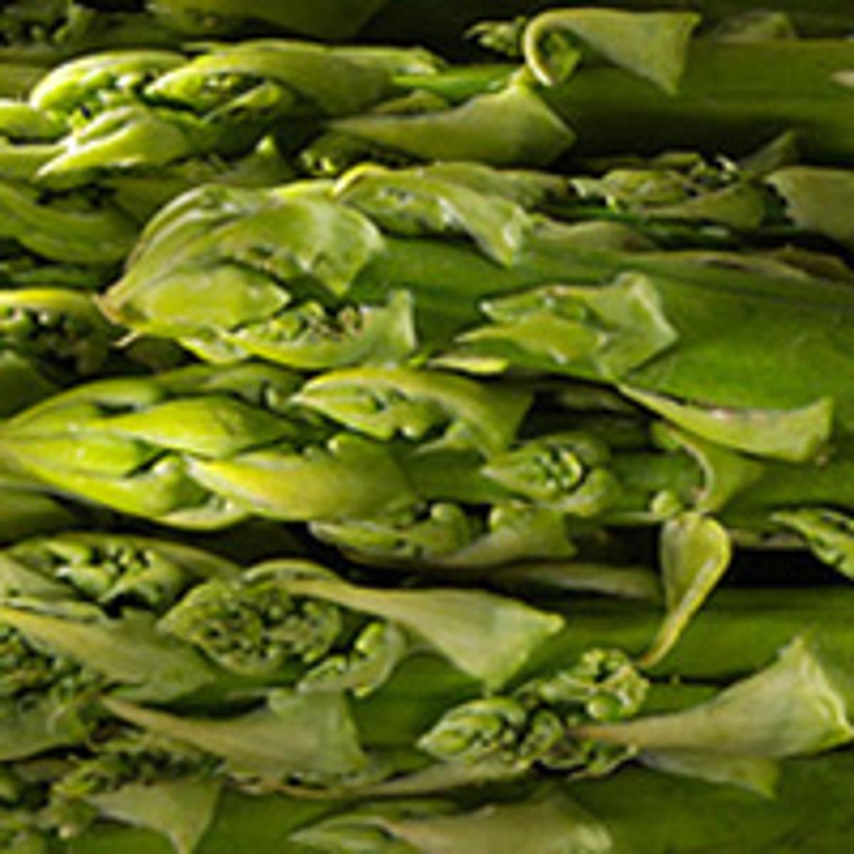 Spargel grün 250 g