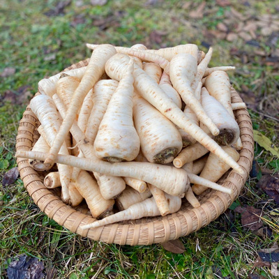 Produktfoto zu Petersilienwurzel