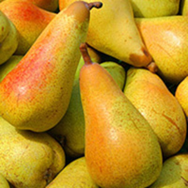 Produktfoto zu Birnen Abate