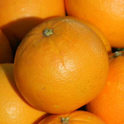 Produktfoto zu Saftorangen Navel