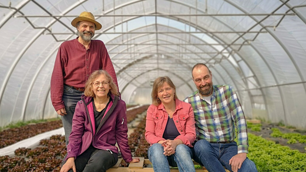 KI generiert: Vier Personen in einem Gewächshaus mit Salaten im Hintergrund.