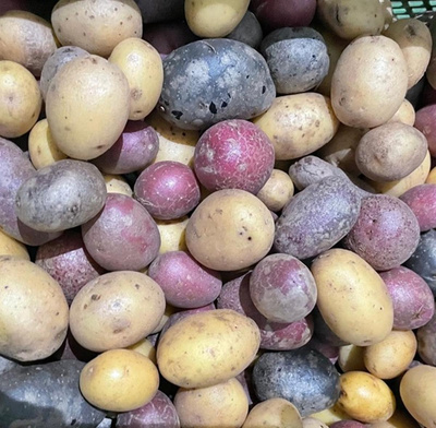 Produktfoto zu Bunte Butterkartoffeln
