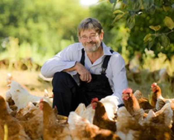 Produktfoto zu 6- er Pack Eier - vom Zweinutzungshuhn