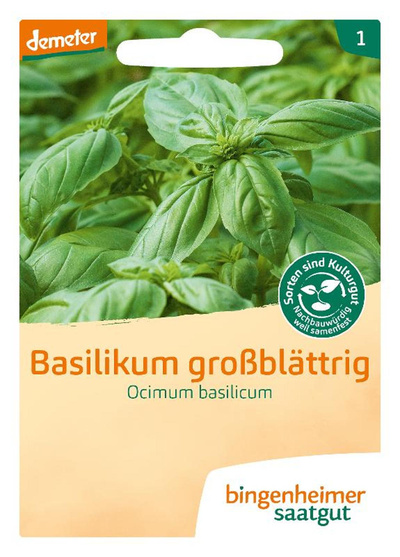 Produktfoto zu Samen: Basilikum großblättrig
