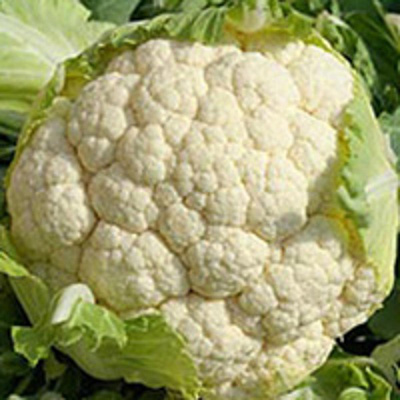 Produktfoto zu Blumenkohl