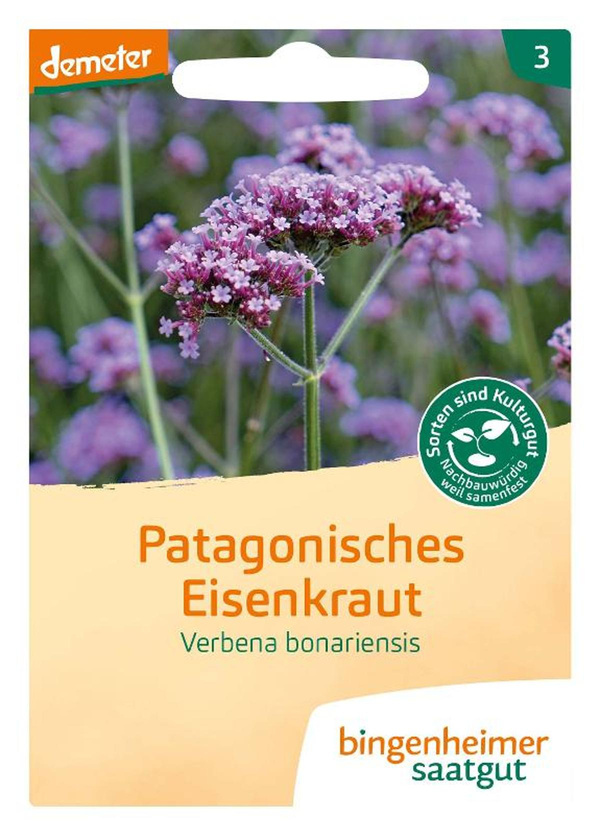 Produktfoto zu Samen: Patagonisches Eisenkraut (Verbena bonariensis)