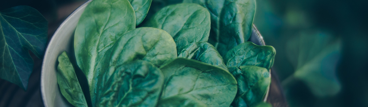 Warenkunde Obst und Gemüse in der Ökokiste