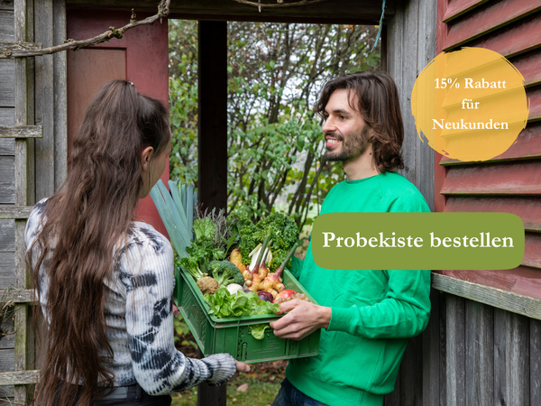 KI generiert: Eine Frau erhält eine Kiste mit frischem Gemüse. Text: "15% Rabatt für Neukunden", "Probkiste bestellen".