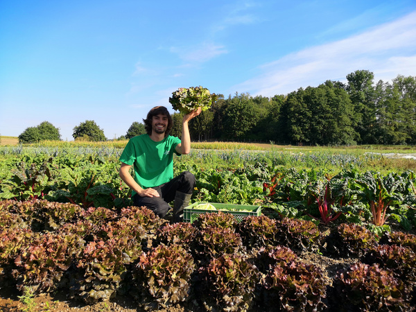 KI generiert: Ein Mann hält einen Salatkopf auf einem Gemüsefeld in der Hand.