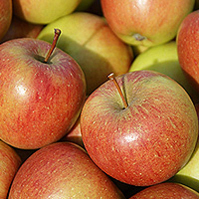 Produktfoto zu Äpfel Braeburn