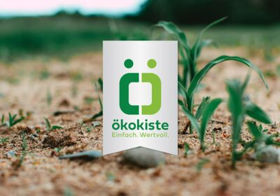 KI generiert: Ein junges Pflänzchen wächst aus dem Boden. Text: "ökokiste - Einfach. Wertvoll."