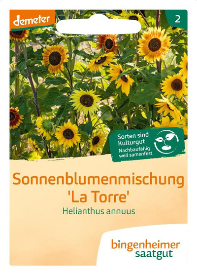 Produktfoto zu Samen: Sonnenblumen 'La Torre'