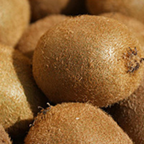 Produktfoto zu Kiwi