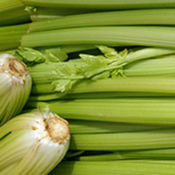 Produktfoto zu Stangensellerie, ca. 250-300g_Stück
