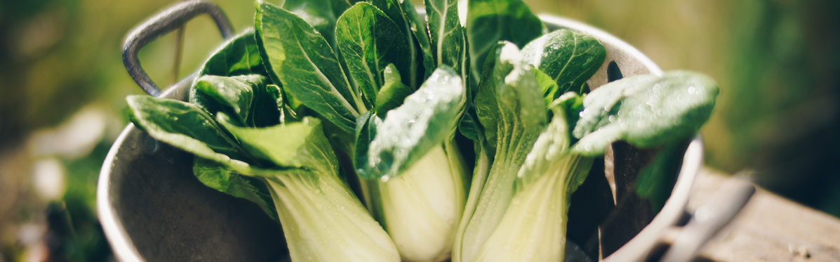 Warenkunde Obst und Gemüse in der Ökokiste