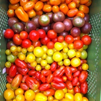 Produktfoto zu Cherrytomatenmix lose