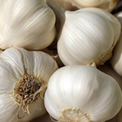 Produktfoto zu Knoblauch 100 g