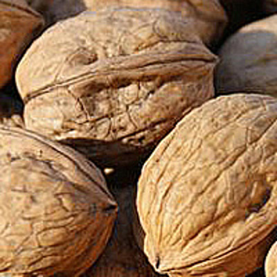 Produktfoto zu Walnüsse