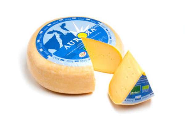 Produktfoto zu Aurora Gold Gouda jung