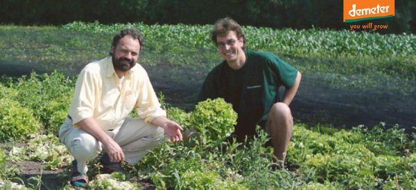 KI generiert: Zwei Männer auf einem Feld mit Salat. Text: "demeter you will grow".
