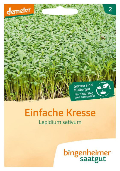 Produktfoto zu Samen: Einfache Kresse