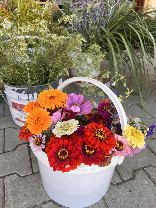 KI-generierte Beschreibung: Blumenstrauß in weißem Eimer auf Kopfsteinpflaster.