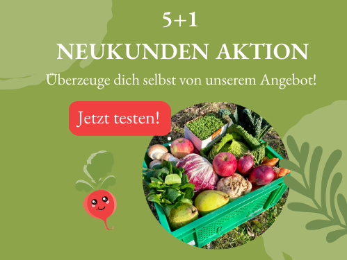 KI generiert: Ein Gemüsekorb beworben mit einer Neukundenaktion. Text: "5+1 Neukunden Aktion. Überzeuge dich selbst von unserem Angebot! Jetzt testen!"
