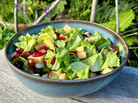 Rezeptbild für Silvias Endiviensalat mit Käse und Trauben
